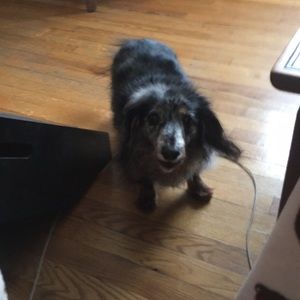 Meet your Posher, Sue